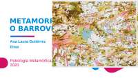 Metamorfismo Barroviano