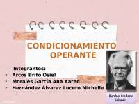 Condicionamiento Operante de Skinner: Principios y Experimentos