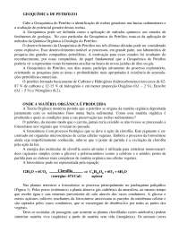 Geoquímica do Petróleo