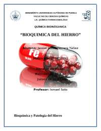 Bioquímica del Hierro