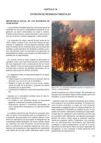 forestales a nivel del mundo