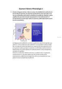 Examen mineralogía I