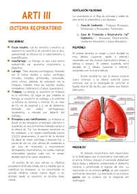 Resumen sistema respiratorio - Cb67fb73093fc7234e1e7c705a5ba450 