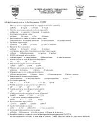 examen torax de anatomia