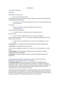Ciclo Menstrual y Desarrollo Folicular: Ginecología