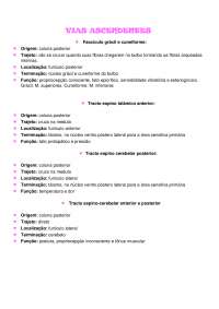 Vias ascendentes e descendentes