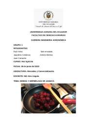 Comercialización de la Flor de Jamaica