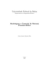 Relatório sobre construção de um sistema de controle de um pêndulo-hélice