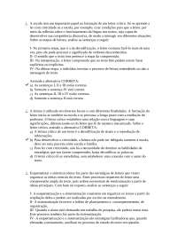 prova estratégia da leitura