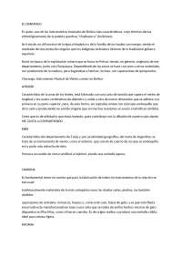 Instrumentos musicales de bolivia