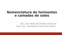 Nomenclatura de horizontes e camadas de solos