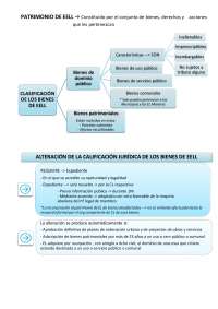 Esquema reglamento de bienes