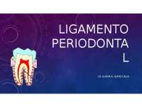 Anatomía del Ligamento Periodontal y el Cemento: Una Guía Completa
