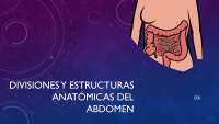 PATOLOGÍAS DEL ABDOMEN RESUMEN