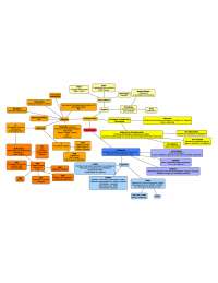 Mapa Conceitual Imunologia