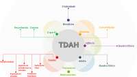 MAPA CONCEITUAL - TDAH