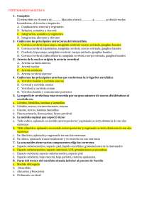 cuestionario Anatomía 3