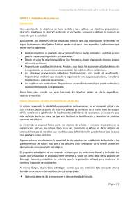 TEMA 5. Los objetivos de la empresa
