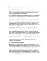 tallo cerebral configuración interna y externa