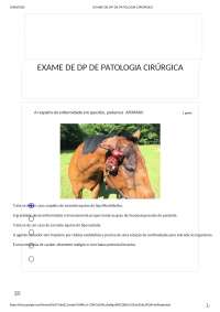 Prova Patologia Cirurgica