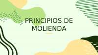 Principios de Molienda