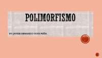 polimorfismo programación en java