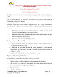 Principais Historiografias ate a actualidade