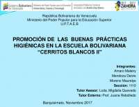 diapositivas sobre la realización de un proyecto de investigación