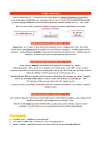 Le guerre Sannitiche Docsity