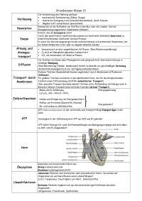 Biologie: Grundwissen Klasse 10