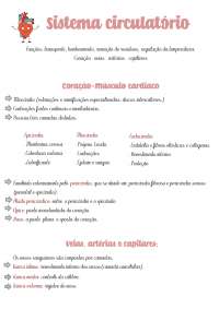 O Coração Humano: Anatomia, Fisiologia e Funcionamento