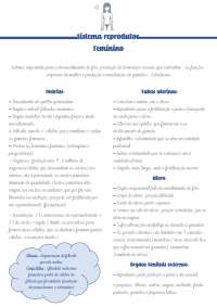 O Sistema Reprodutor Feminino: Anatomia e Fisiologia