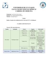 Clasificación de los virus según ICTV y Baltimore