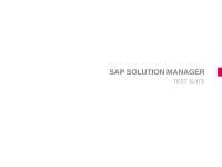 TESTE EM SOLUTION MANAGER