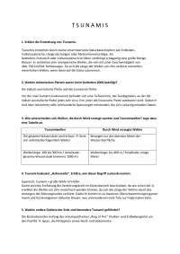 Erdkunde Aufgaben für die Abitur Vorbereitung: Tsunamis