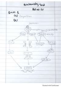 Biochemistry Endocrinology