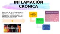 INFLAMACION CRONICA, CARACTERIASTICA