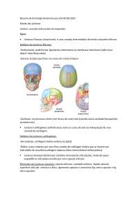 Resumo de Artrologia de Anatomia