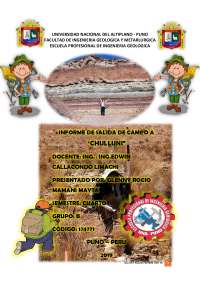 INFORME DE SALIDA DE CAMPO CHULLUNI PUNO
