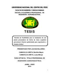 Temas  de ureta camavilca en pdf