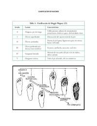 Clasificacion de wagner - Docsity