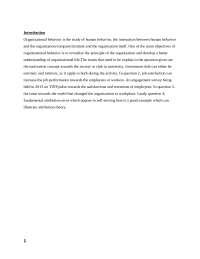 The individual assignment