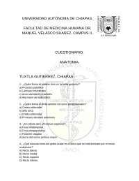 Cuestionario de Anatomía unidad 1