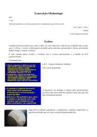 doenças da esclera - oftalmo