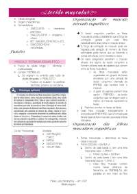 RESUMO HISTOLOGIA I - TECIDO MUSCULAR