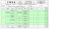 FMEA Form Logisticas