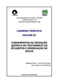 FUNDAMENTOS DA OXIDAÇÃO QUÍMICA NO TRATAMENTO DE EFLUENTES E REMEDIAÇÃO DE SOLOS.pdf