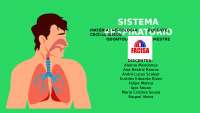 Slide sobre Sistema Respiratório
