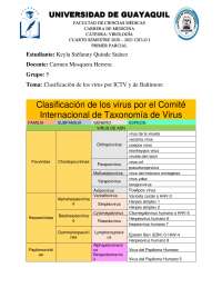 CLASIFICACION DE LOS VIRUS - Docsity