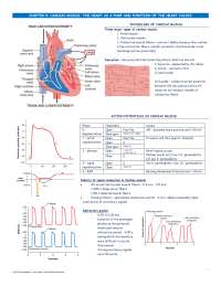 Physiology of the Heart Reviewer